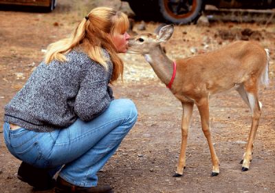 Rebecca Trammell