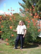 Sharon Holmes
