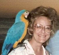 Joyce Militello