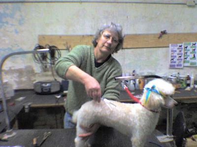 Gidgette Reed