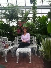 Michelene Baldassarre