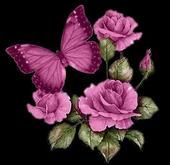 Kathy Allsup
