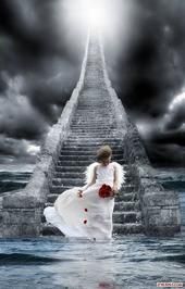 Patricia Talley
