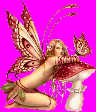 Shannon Elsea