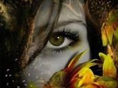 Lori Moore