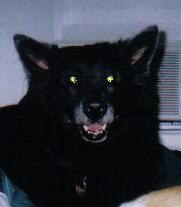 Varda Rosenfeld