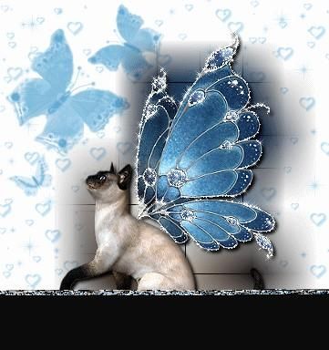 Heather Oliver