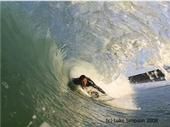 Shawn Vecchione