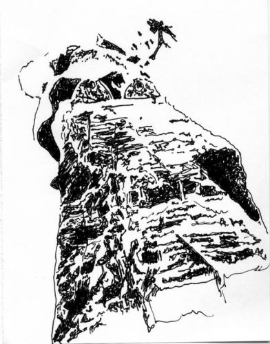 Marijke Jongbloed