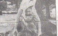 Cynthia Popa