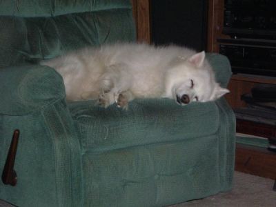 Sandra Furry