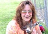 Denise Lane