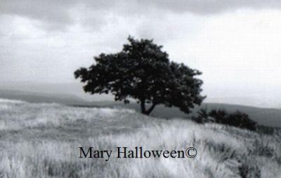 Marilyn Holtermanndocto