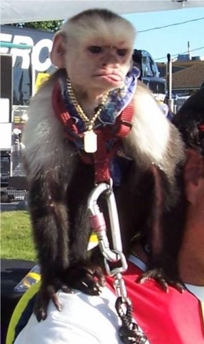 Todd Helsel