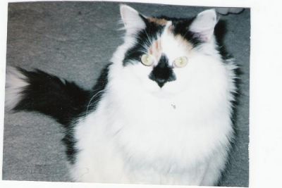 Patricia Boos