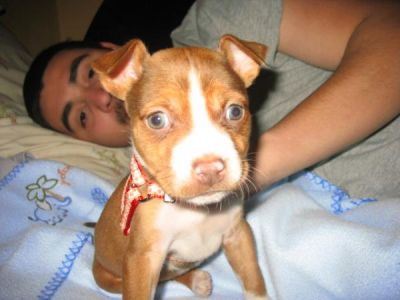 Isaac Betancourt