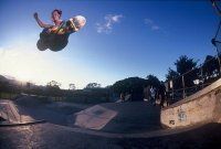 Cody Peer