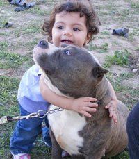 Heriberto Flores