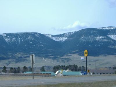 Brandon Ring