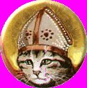 Melissa Cat