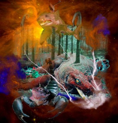 Nicholas Floyd