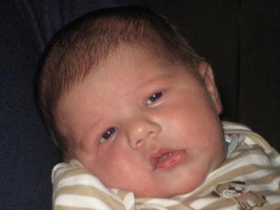 Anthony Perrone