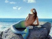 Jill Belloff