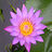 Marianna Olson