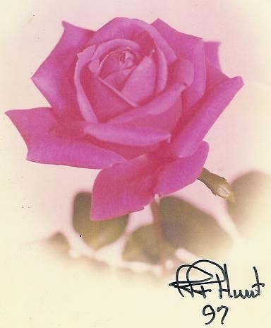 Linda Burbank