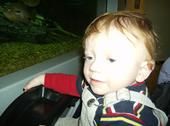 Andrew Newton