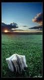 Deborah Antley