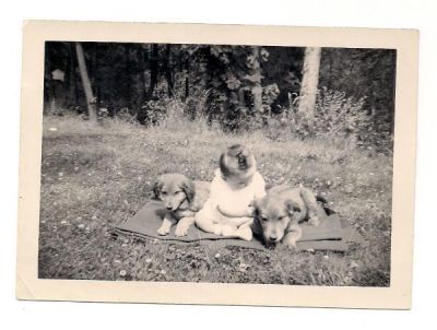 Judy Welch