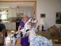 Patricia Kinlaw