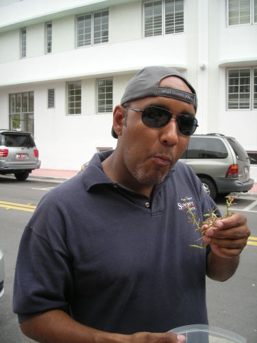Paul Rosa