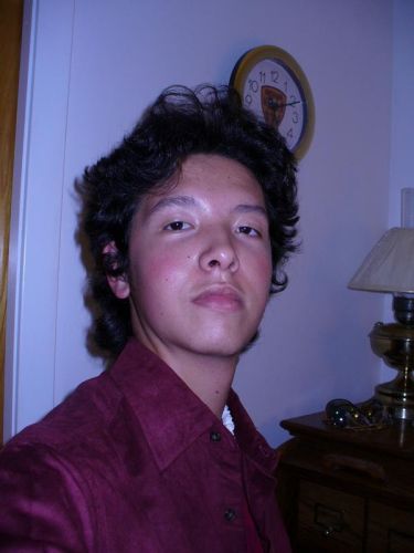 Andy Gibbs