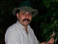 Peter Picone