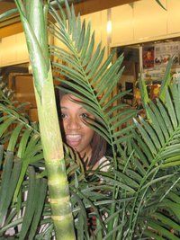 Tanna Bettle