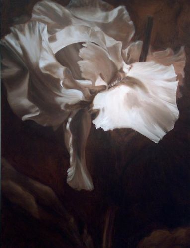 Amy Crews