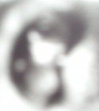 Maribel Castellanos