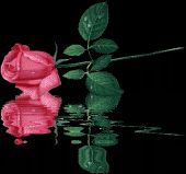 Ramandeep Bisla