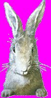 Jacqueline Easter