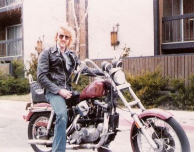 Terry Stout