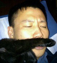Newton Cheng