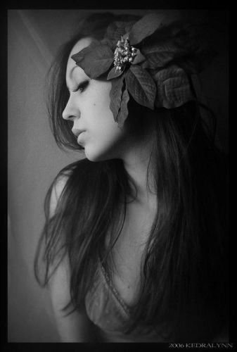 Sandra Cule