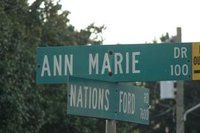 Ann Perrine