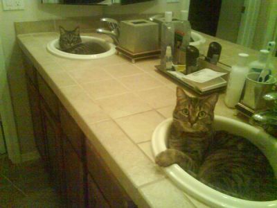 Brett Dishong