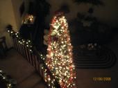 Donna Gagliardi