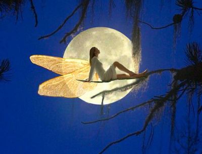 Debra Campbell