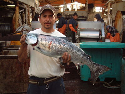 Martin Cruz