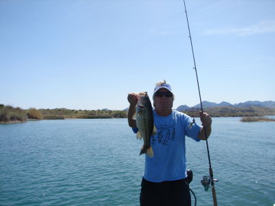 Tony Quinnell